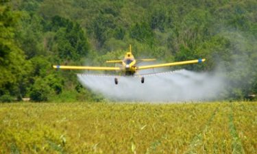 glyphosate